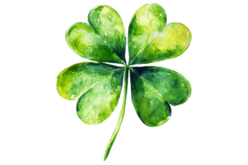Watercolor Four-Leaf Clover, symbol of luck and fortune, beautifully painted with a botanical style. Isolated. AI generated.  .