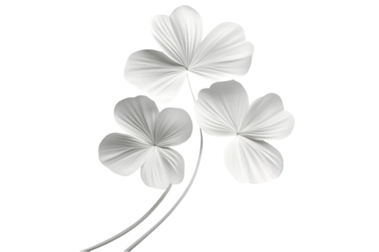 Minimalist white three-leaf clovers with delicate texture, symbolizing simplicity and purity. Isolated. AI generated.  .