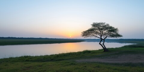 A tree stands in front of a body of water, with the sun setting in the background. The scene is peaceful and serene, with the tree providing a sense of stability and calmness