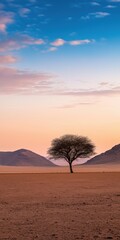 A tree stands alone in a desert landscape. The sky is a mix of blue and pink hues, creating a serene and peaceful atmosphere