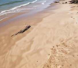 Fine grain river sand and driftwood on a beach, driftwood, wooden log, shore
