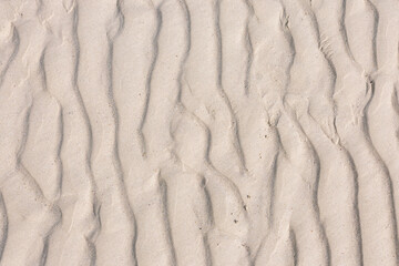 SAND TEXTURE BACKGROUND, HOLBOX, MEXICO 
