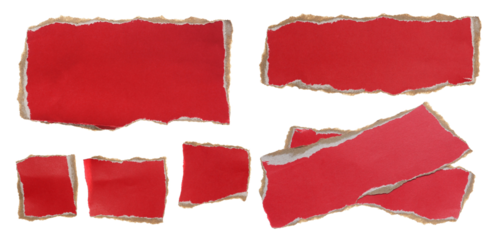 Set blank ripped cardboard scraps isolated on white, clipping
