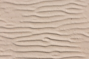 SAND TEXTURE BACKGROUND, HOLBOX, MEXICO 
