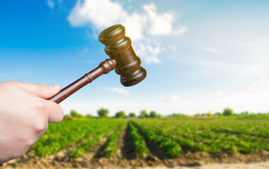 Judge's gavel in the backdrop of agricultural plantations. Agricultural land disputes,...