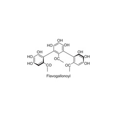 Flavogallonoyl skeletal structure.Tannin compound schematic illustration. Simple diagram, chemical structure.