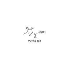 Pulvinic acid skeletal structure.Organic Acid compound schematic illustration. Simple diagram, chemical structure.