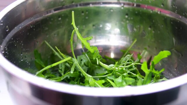 Woman hands washing arugula leaves in colander close up. High quality 4k footage. High quality 4k footage