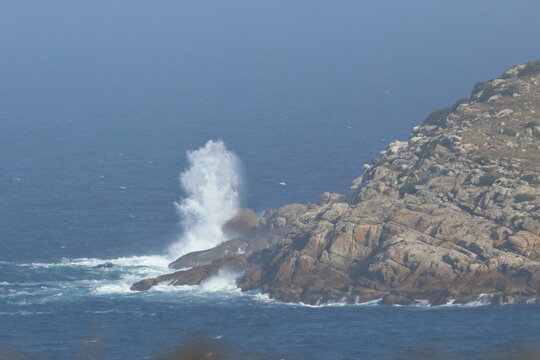 wilsons promontory - Powered by Adobe
