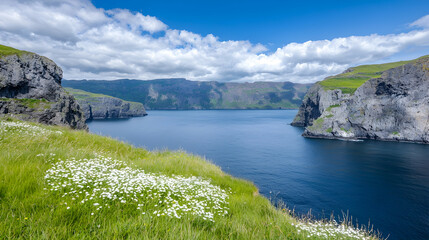 Fototapeta premium Coastal cliffs, wildflowers, ocean view, sunny day, travel landscape