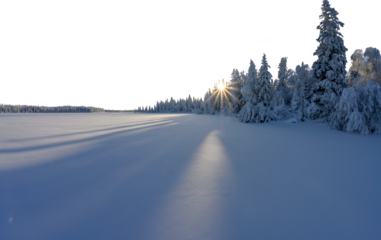 Panorama of sun setting between snow covered trees at frozen lake with transparent sky
