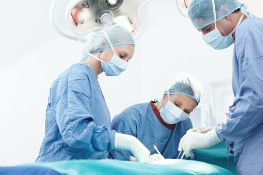 Hospital, specialist and doctor procedure in operating room for patient, emergency or operation. Healthcare people, collaboration and medical surgeons with surgical tools, teamwork and clinic service