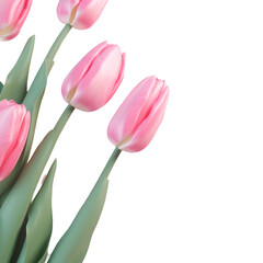 Naklejka premium This beautiful pink tulip arrangement is perfect for spring celebrations or to brighten your living space