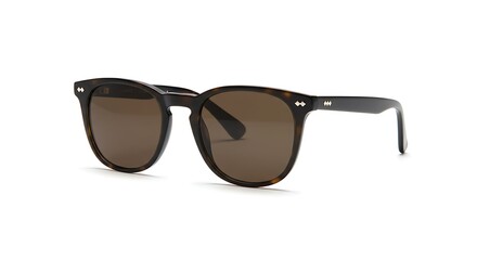Stylish Tortoise Shell Sunglasses with Brown Lenses