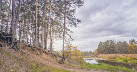 Obraz premium Forest with a river running through it