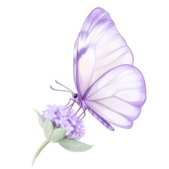 Lavender Spring Clipart - Floral Vector Illustration