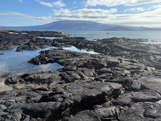 lava rock beach and tidal pools at Espinoza point, Fernandina Island, Galapagos 