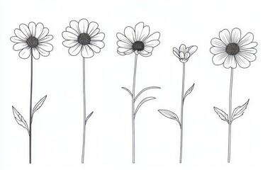 Obraz premium Wildflowers for background