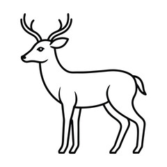 deer illustration vector art isolated on a white background