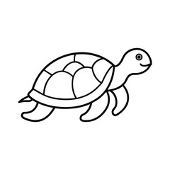 turtle illustration vector art isolated on a white background