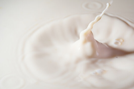 UHT milk is milk that has been processed at ultra high temperature 