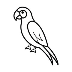 parrot illustration vector art isolated on a white background