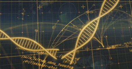 DNA strands and mathematical equations image over scientific grid background