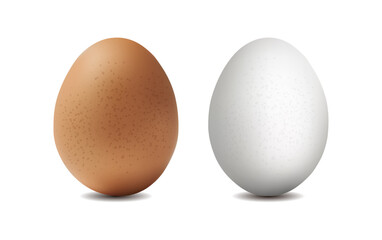 3d eggs isolated on white background. Realistic two eggs on white background