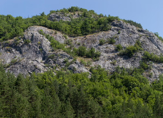Rhodopes, are a mountain range in Southeastern Europe. Bulgaria. Panorama. The forest area covers the mountains.