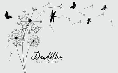 Dandelions with dragonfly and butterfly on the wall background. Vector illustration