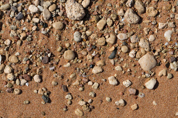 The coastline of the Red Sea. Sand, pebbles, corals, fossils. Background with a marine theme.