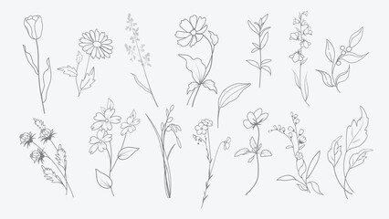 Simple delicate abstract flowers, leaves, branches and grass spikelet in linear style drawings set isolated on white. Transparent graphic botanical art sketches for design use on any color background.