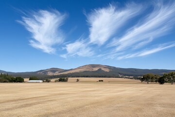 Vast Countryside Landscape Under a Majestic Sky