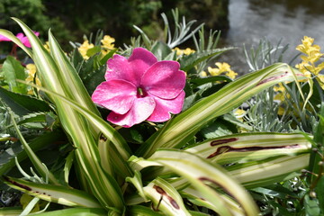 Obraz premium lily of the valley