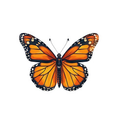 Fototapeta premium Colorful Monarch Butterfly Illustration on a White Background
