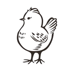 Cute Hand-drawn Bird Illustration on a Transparent Background