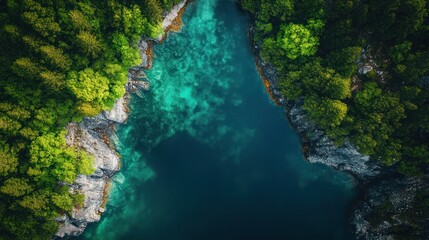 Obraz premium Aerial View of Serene Coastal Inlet, Lush Green Forest Meeting Turquoise Waters