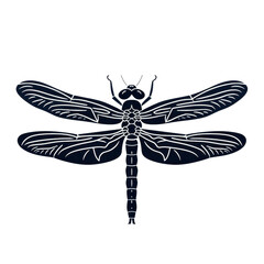 Detailed Illustration of a Dragonfly with Intricate Wing Patterns