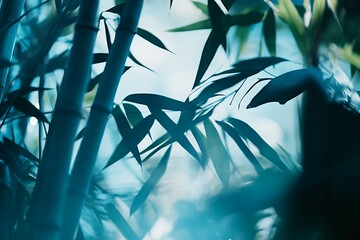 Serene Bamboo Forest Scene