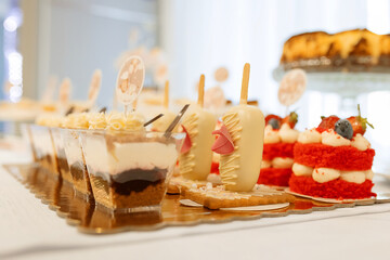 Close-up of sweet table, mono portions, cheesecake, cake pops