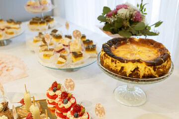 Close-up of sweet table, mono portions, cheesecake, cake pops
