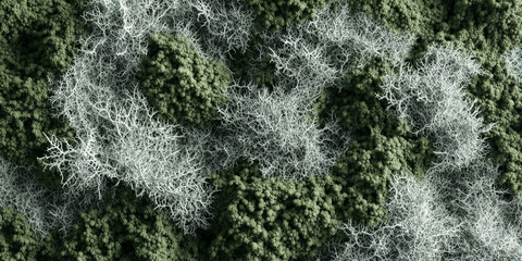 Deep emerald green and silver moss texture with delicate organic details.