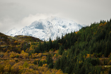 A SnowCapped Mountain Rises Majestically Amidst a Vibrant Autumn Forest Landscape