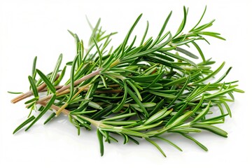Fototapeta premium Fresh rosemary on white background
