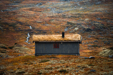 Discover a Scenic Rustic Cabin Nestled in a Beautifully Serene Landscape for Retreats and Adventures