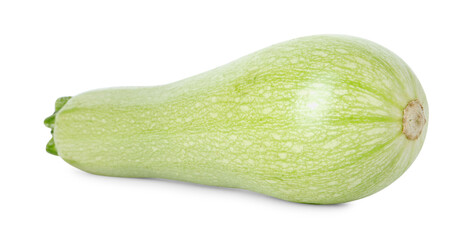 One fresh ripe zucchini isolated on white