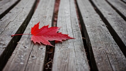 Lone crimson maple leaf lays atop aged wood planks 