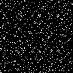 Elegant Tiny White Floral Pattern on a Black Background seamless repeat
