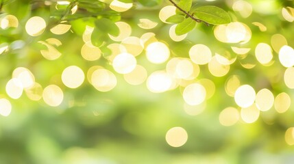 Fototapeta premium Soft Green Background with Blurry Lights and Leafy Bokeh Effect