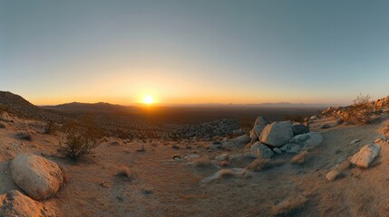 Joshua Tree National Park, USA. Panoramic shot , sunset in the desert , Gold desert